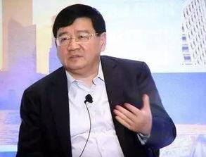 徐小平爆料视频大全集,揭秘名人与企业背后的真实故事  第1张