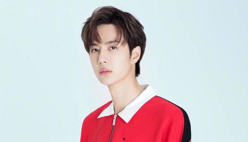 娱乐爆料李现陈晓,兄弟情深,幕后故事大揭秘 第3张 娱乐爆料李现陈晓,兄弟情深,幕后故事大揭秘 第3张